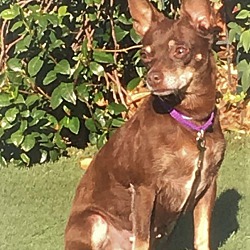 Thumbnail photo of Hilde #3