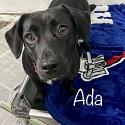 Photo of Ada