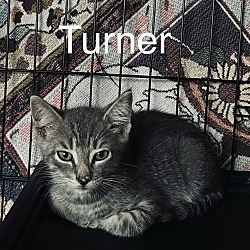 Thumbnail photo of Turner #1