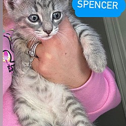 Thumbnail photo of Spencer #1