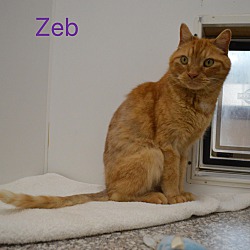 Photo of Zeb