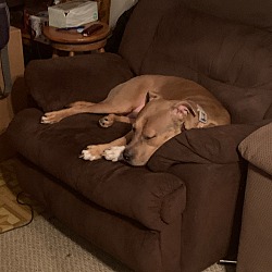 Photo of Ruby
