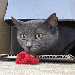 Photo of Mildred