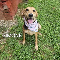 Photo of Simone