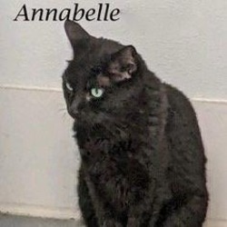 Photo of Annabelle