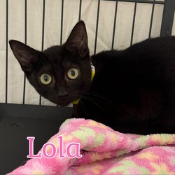 Thumbnail photo of Lola #1