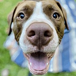 Photo of Bentley