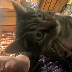 Photo of Ben