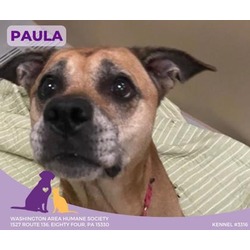 Thumbnail photo of Paula #2