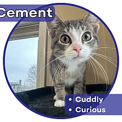 Photo of Cement