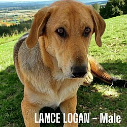 Thumbnail photo of Lance Logan #3