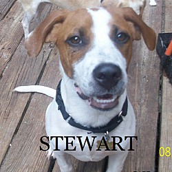 Photo of STEWART