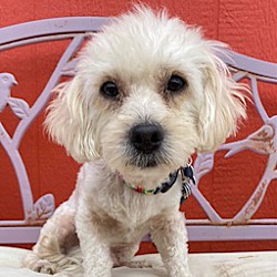 Photo of Diego