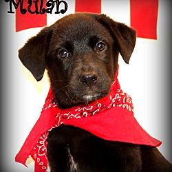 Thumbnail photo of Mulan ~ meet me! #4