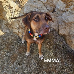 Thumbnail photo of Emma #1