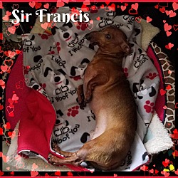 Thumbnail photo of Sir Francis #4