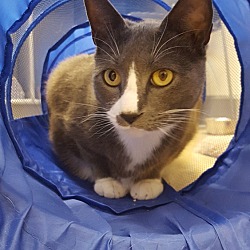 Thumbnail photo of Max #4