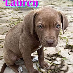 Photo of Levi and Lauren