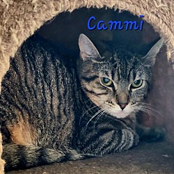 Thumbnail photo of Cammi #2