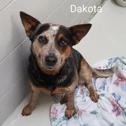 Photo of Dakota