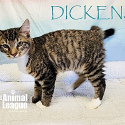 Thumbnail photo of Dickens #2