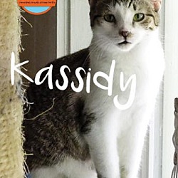 Thumbnail photo of Kassidy #1