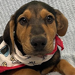 Photo of Skipper