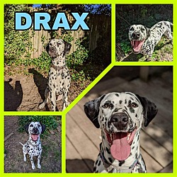 Photo of Drax