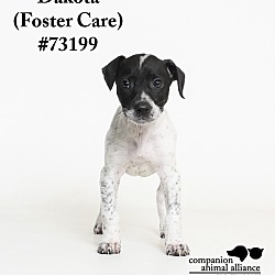 Thumbnail photo of Dakota  (Foster Care) #1