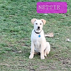Thumbnail photo of Nettie #1