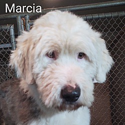 Thumbnail photo of Marcia #3