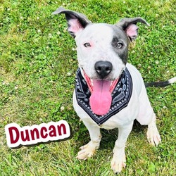 Photo of Duncan