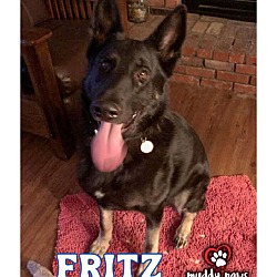 Photo of Fritz (Courtesy Post)