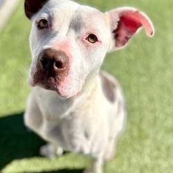 Thumbnail photo of Bessie #3