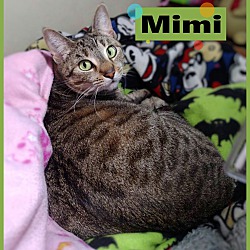 Thumbnail photo of Mimi #3