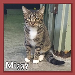Photo of Miggy