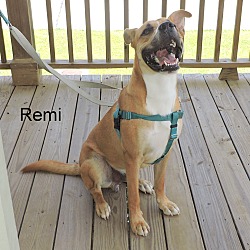 Thumbnail photo of Remi #3