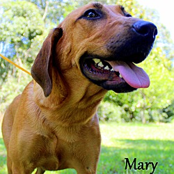 Thumbnail photo of Mary ~ meet me! #1