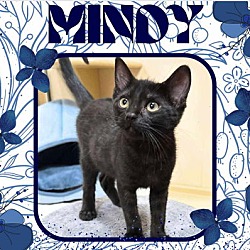 Thumbnail photo of Mindy #1