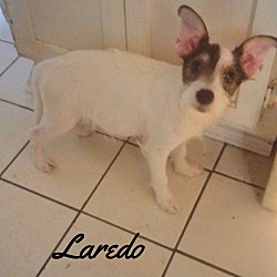 Thumbnail photo of Laredo #3