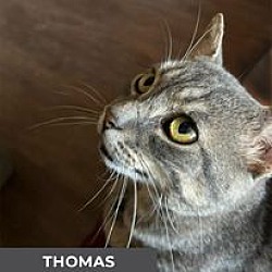 Thumbnail photo of Thomas #3