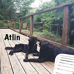 Thumbnail photo of Atlin #2