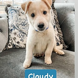 Photo of Cloudy