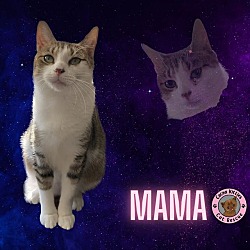 Thumbnail photo of Mama #1