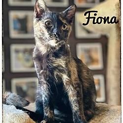 Photo of Fiona