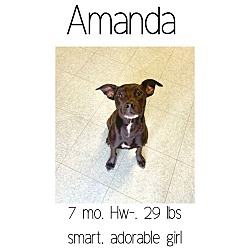 Thumbnail photo of Amanda #1