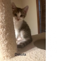 Thumbnail photo of Dakota #4