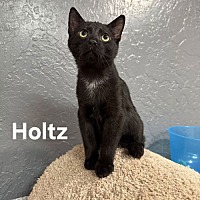 adopt-pet