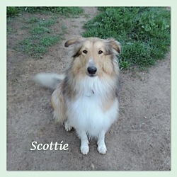 Photo of Scottie