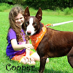 Thumbnail photo of Cooper~meet me! #3